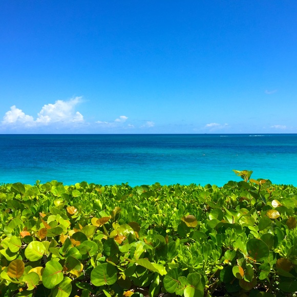 Meet your Posher, Katie - Picture 1 of 1